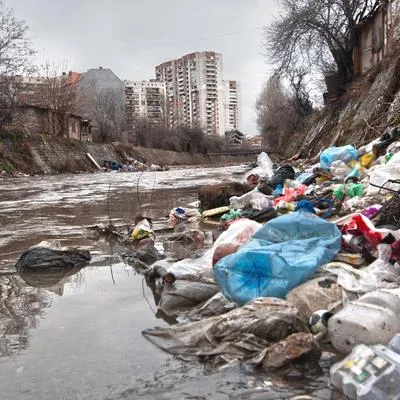 Macroplastic Fate and Impacts in Riverine Ecosystems