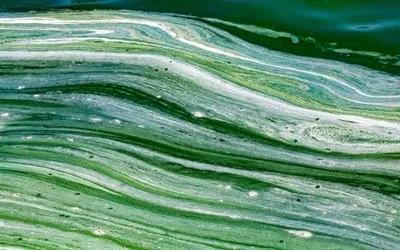 Global Water Bankruptcy: Thresholds, Tipping Points, and Water Accounting