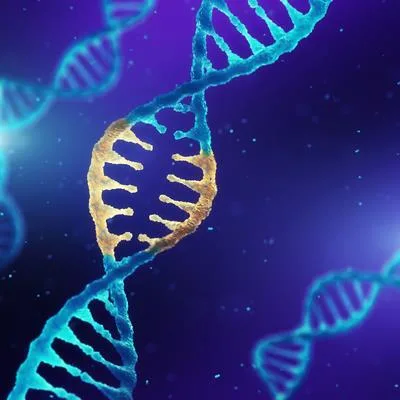 Precision Genome Editing for Healthy Aging: Unlocking Genetic Pathways to Longevity