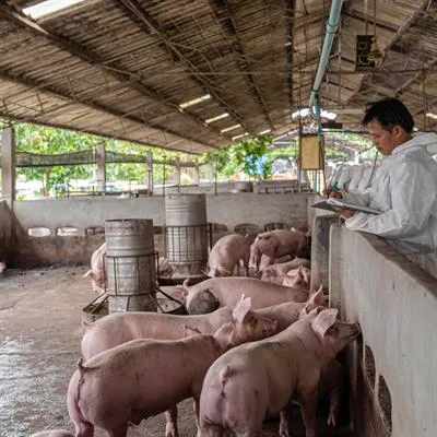 Embryonic Mortality and Adverse Reproductive Outcomes in Domestic Farm Animal Species