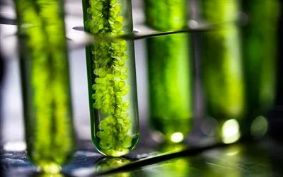 High-Throughput Precision Biomanufacturing of High-Value, Low-Volume Specialty Biochemicals