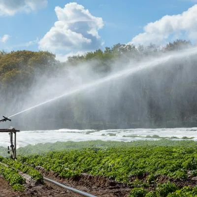 Coupling Field Water Management with Soil Conservation and Nutrient Strategies to Sustain Crop Productivity under Drought, Salinity, and Soil Degradation