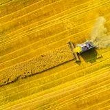 Exploring Livelihood Diversification's Role in Enhancing Food Security and Resilience in Diverse Contexts