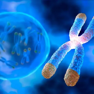 Gene and Cell Therapy Strategies for Age-Related Diseases