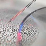 Stem Cells in Pain Medicine: Advancing Regeneration and Longevity
