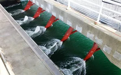 Improving Machine Learning for Water Resources Through Scientific Knowledge Integration