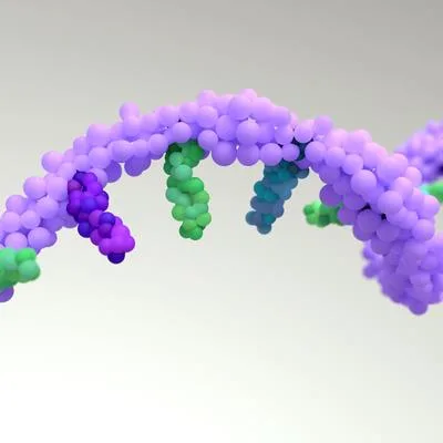 RNA biology in aging: Splicing, RNA modifications, and translational control