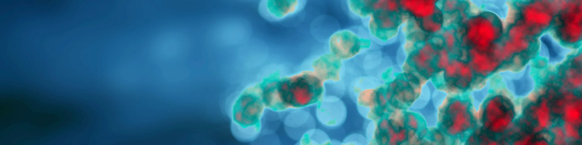 Frontiers in Immunology